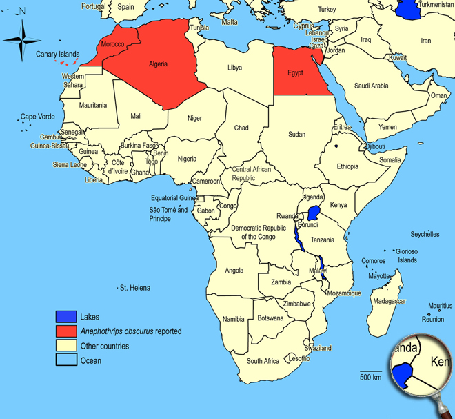 Distibution Map Africa